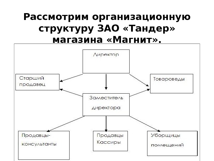 Рассмотрим организационную структуру ЗАО «Тандер»  магазина «Магнит» . 