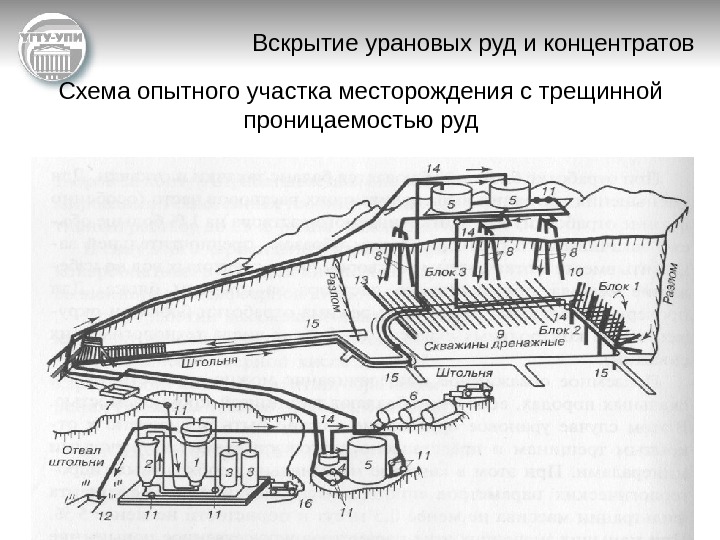   Вскрытие урановых руд и концентратов Схема опытного участка месторождения с трещинной проницаемостью