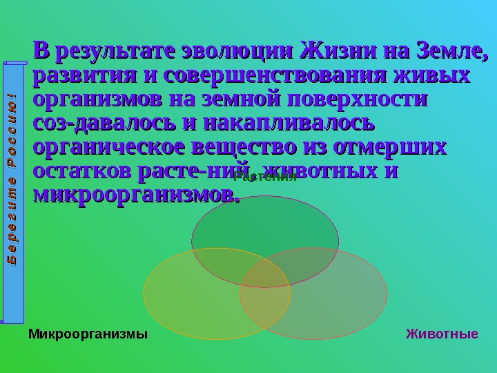      В результате эволюции Жизни на Земле,  развития и