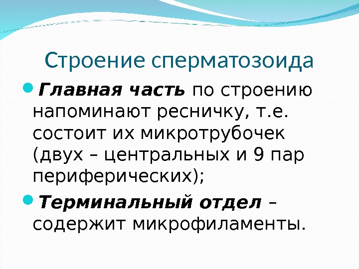 Строение сперматозоида Главная часть по строению напоминают ресничку, т. е.  состоит их микротрубочек