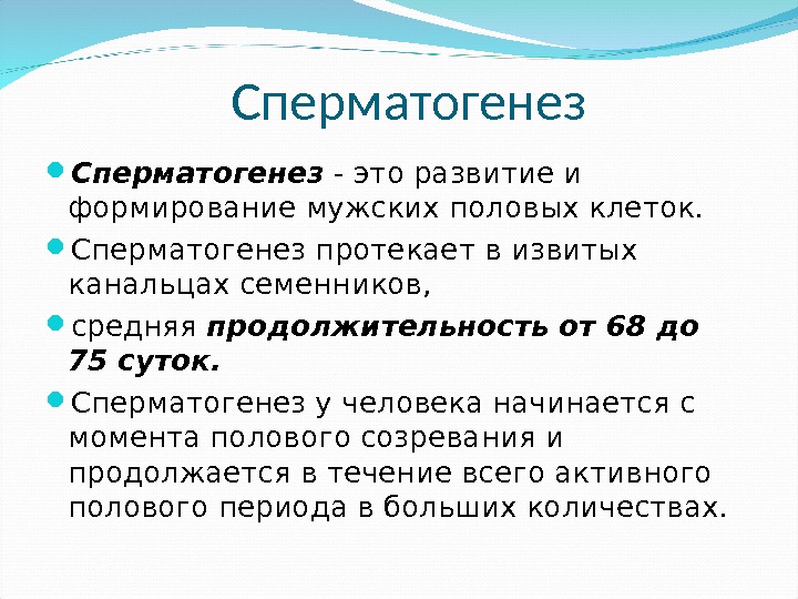 Сперматогенез - это развитие и формирование мужских половых клеток.  Сперматогенез протекает в извитых