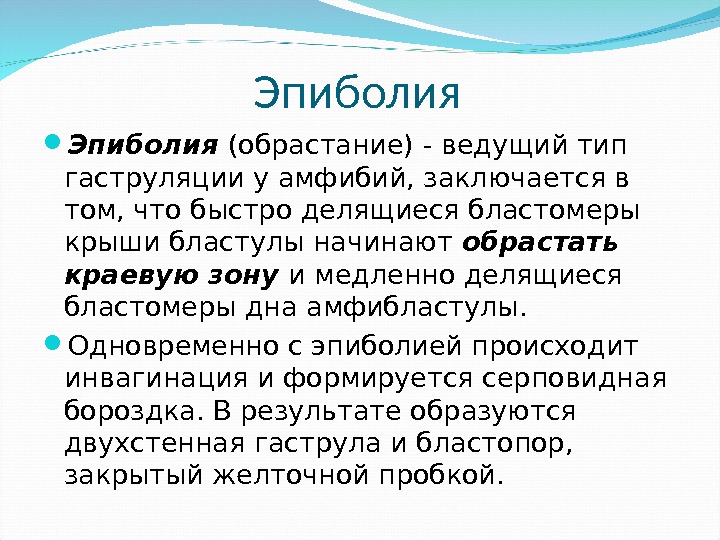 Эпиболия  (обрастание) - ведущий тип гаструляции у амфибий, заключается в том, что быстро