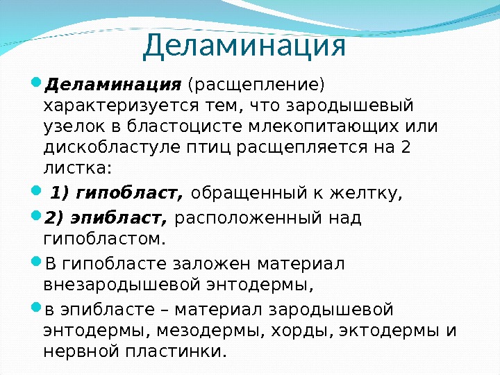 Деламинация  (расщепление) характеризуется тем, что зародышевый узелок в бластоцисте млекопитающих или дискобластуле птиц