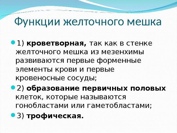 Функции желточного мешка 1) кроветворная,  так как в стенке желточного мешка из мезенхимы