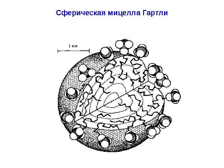 Сферическая мицелла  Гартли 