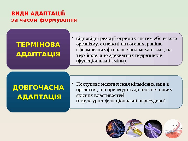 ВИДИ АДАПТАЦІЇ: за часом формування • відповідні реакції окремих систем або всього організму, основані