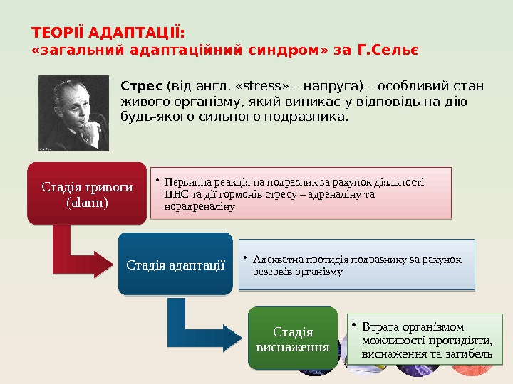 ТЕОРІЇ АДАПТАЦІЇ:  «загальний адаптаційний синдром» за Г. Сельє Стрес (від англ.  «stress»