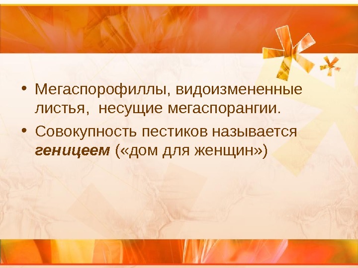  • Мегаспорофиллы, видоизмененные листья,  несущие мегаспорангии.  • Совокупность пестиков называется геницеем