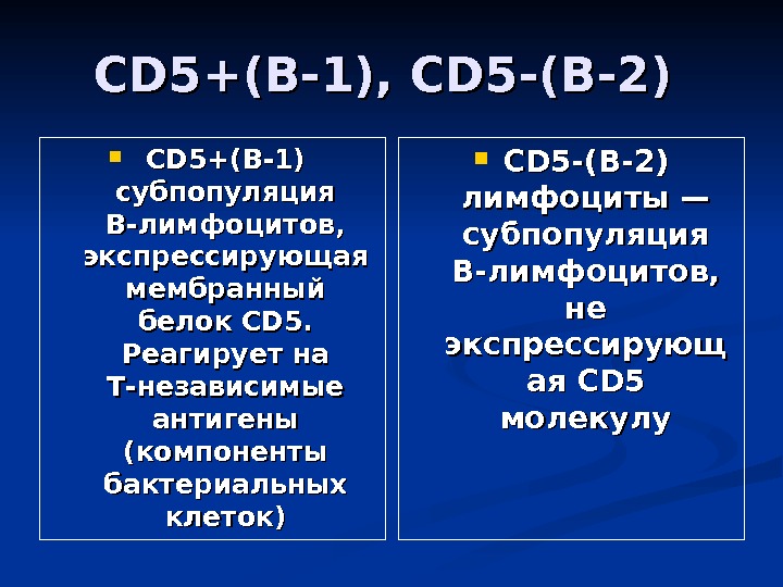 CD 5+(В-1), CD 5 -(В-2)  CD 5+(В-1) субпопуляция В-лимфоцитов,  экспрессирующая мембранный белок