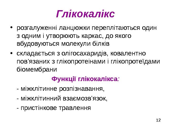   12 Глікокалікс • розгалуженні ланцюжки переплітаються один з одним і утворюють каркас,