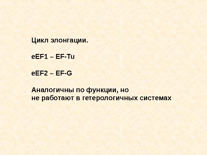 Цикл элонгации. e. EF 1 – EF-Tu e. EF 2 – EF-G Аналогичны по