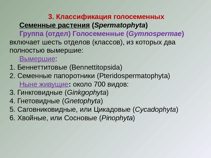 3. Классификация голосеменных  Семенные растения ( Spermatophyta )  Группа (отдел) Голосеменные (