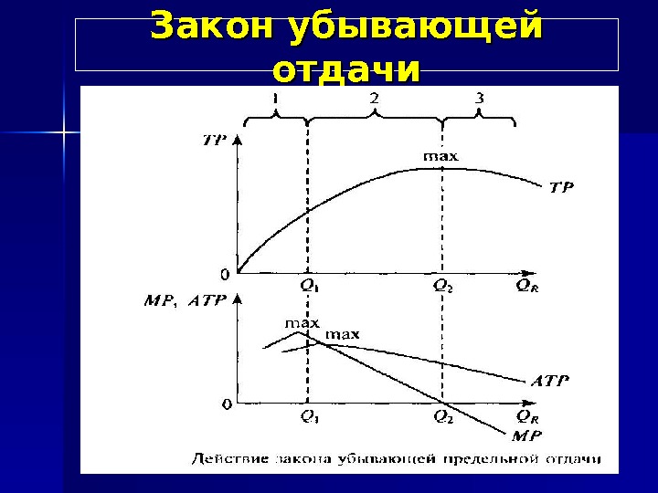 Закон убывающей отдачи 