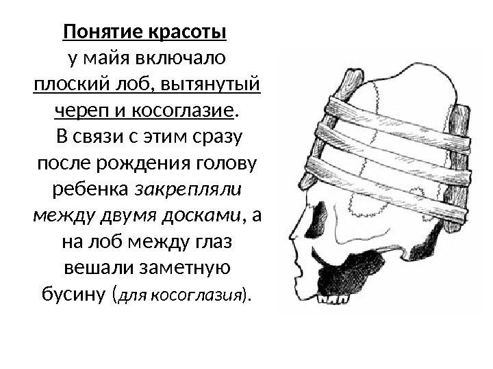 Понятие красоты  у майя включало плоский лоб, вытянутый череп и косоглазие.  В