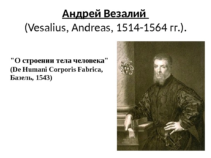 Андрей Везалий ( Vesalius, Andreas, 1514 -1564 гг. ). О строении тела человека (De
