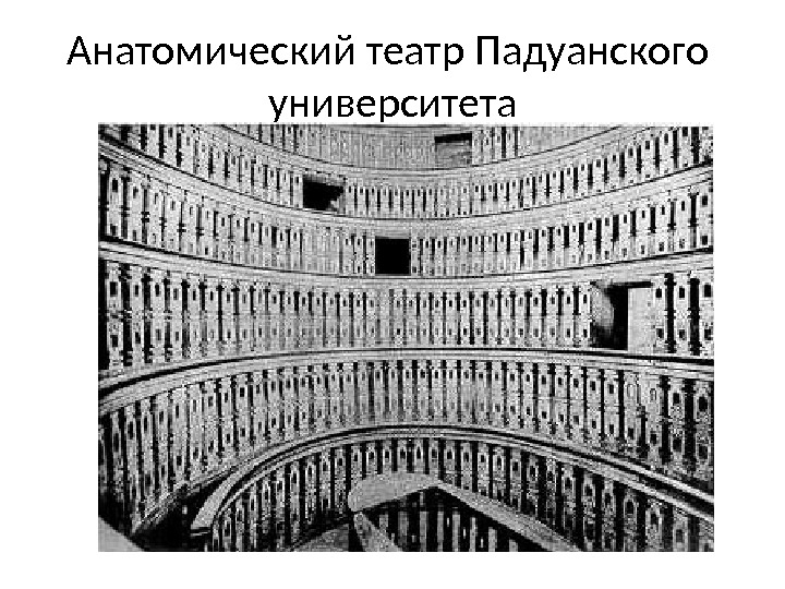 Анатомический театр Падуанского университета 