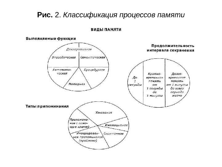   Рис.  2.  Классификация процессов памяти 