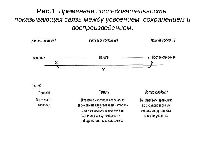   Рис. 1.  Временная последовательность,  показывающая связь между усвоением, сохранением и