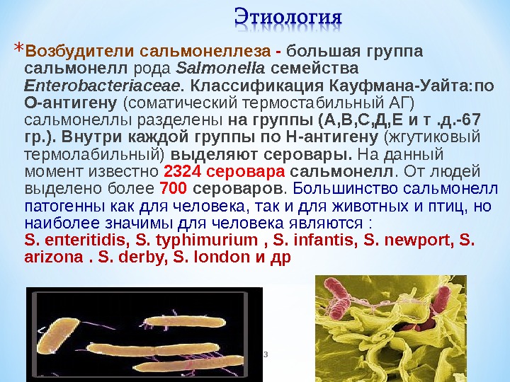 13* Возбудители сальмонеллеза -  большая группа сальмонелл рода Salmonella семейства Enterobacteriaceae.  Классификация