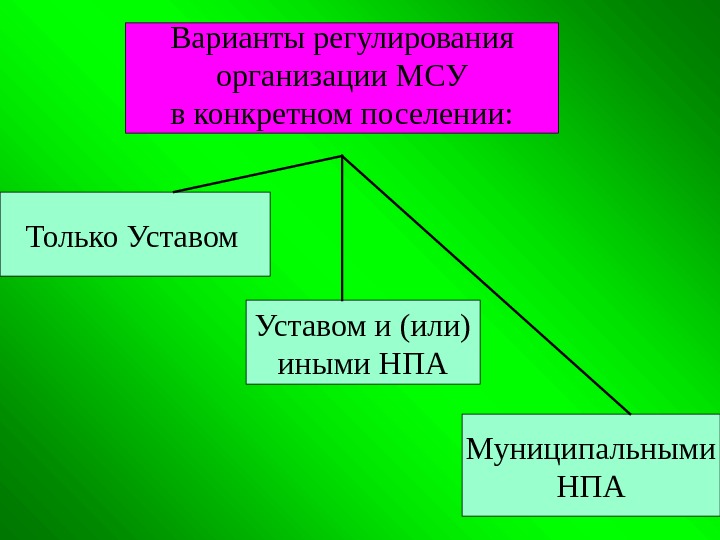  Варианты регулирования организации МСУ в конкретном поселении: Только Уставом и (или) иными НПА