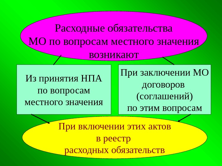 Расходные обязательства МО по вопросам местного значения возникают Из принятия НПА по вопросам местного