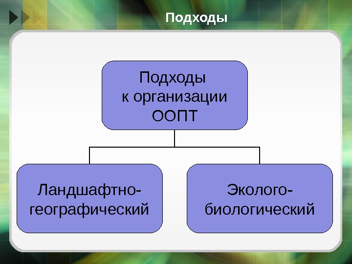 Подходы к организации ООПТ Ландшафтно- географический Эколого- биологический  0506 