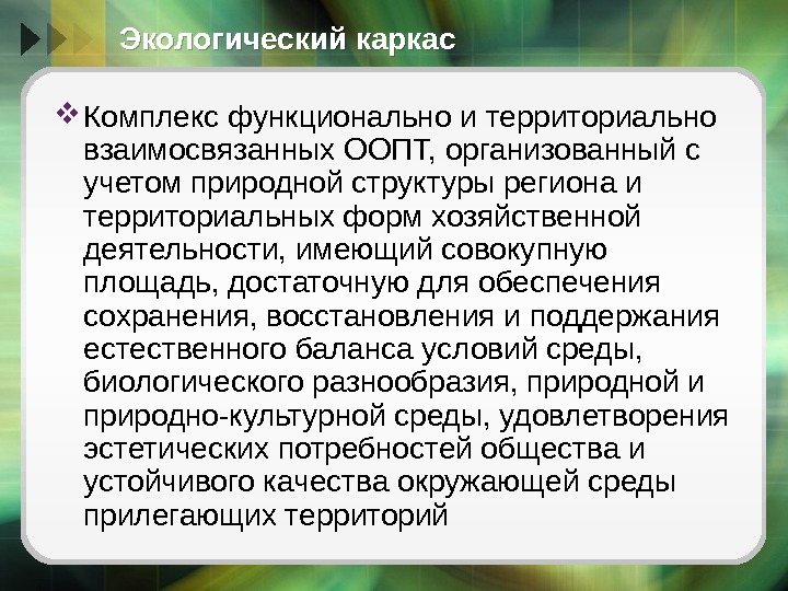 Экологический каркас Комплекс функционально и территориально взаимосвязанных ООПТ, организованный с учетом природной структуры региона