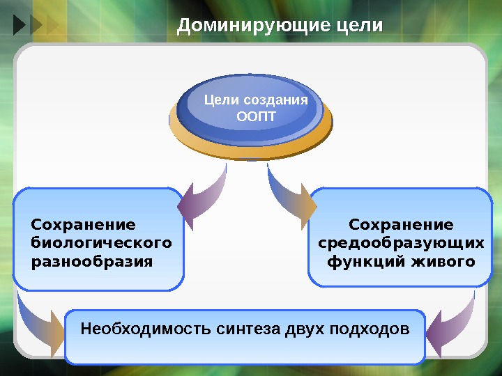 Доминирующие цели Сохранение средообразующих функций живого. Сохранение биологического разнообразия Цели создания ООПТ Необходимость синтеза