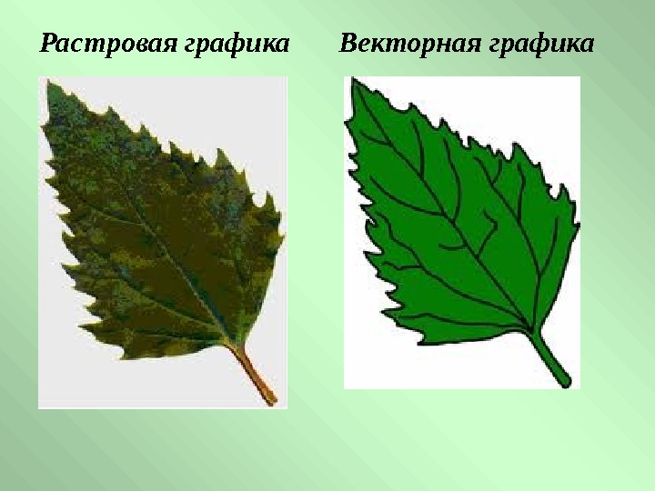   Растровая графика Векторная графика 