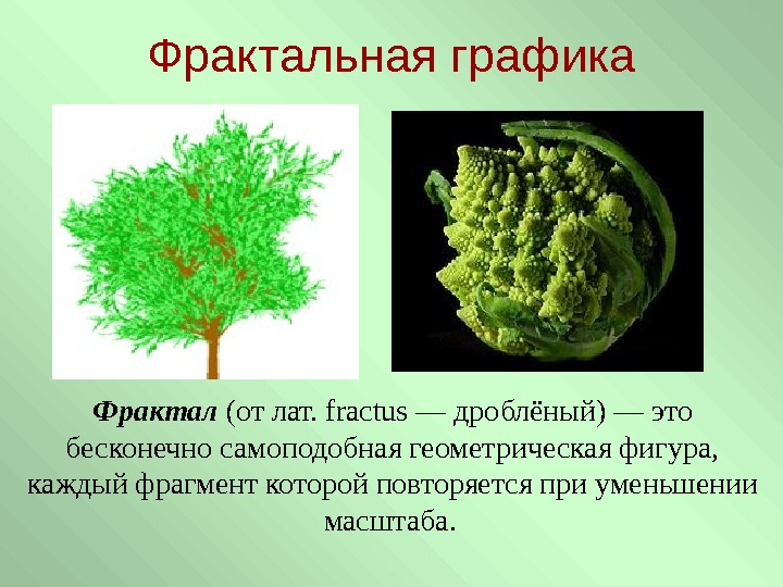   Фрактальная графика Фрактал (от лат. fractus — дроблёный) — это бесконечно самоподобная