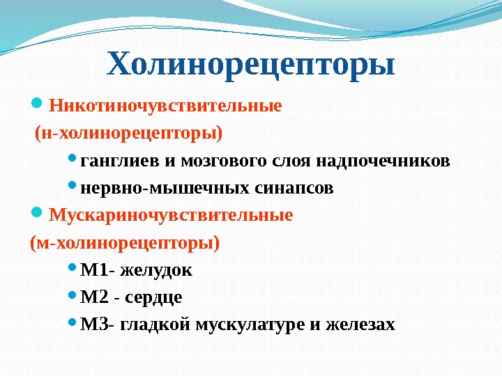 Холинорецепторы Никотиночувствительные  (н-холинорецепторы) ганглиев и мозгового слоя надпочечников нервно-мышечных синапсов Мускариночувствительные (м-холинорецепторы) М