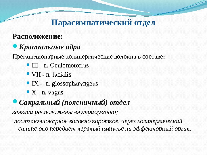 Парaсимпатический отдел Расположение:  Краниальные ядра Преганглионарные холинергические волокна в составе: III - n.