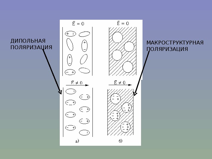 ДИПОЛЬНАЯ ПОЛЯРИЗАЦИЯ МАКРОСТРУКТУРНАЯ ПОЛЯРИЗАЦИЯ 