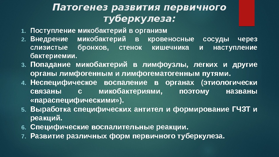 Патогенез развития первичного туберкулеза: 1. Поступление микобактерий в организм 2. Внедрение микобактерий в кровеносные