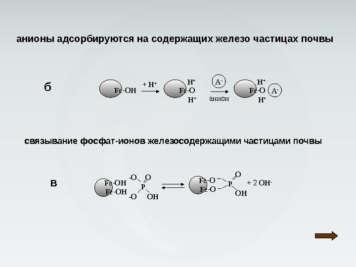 Fe OH + H + Fe O H + анион A H + Fe