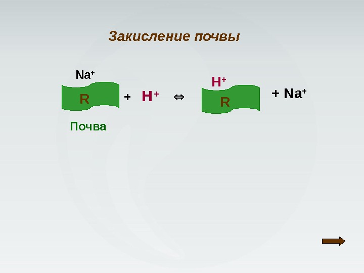Почва R H + RNa + + Na +Закисление почвы + H + 