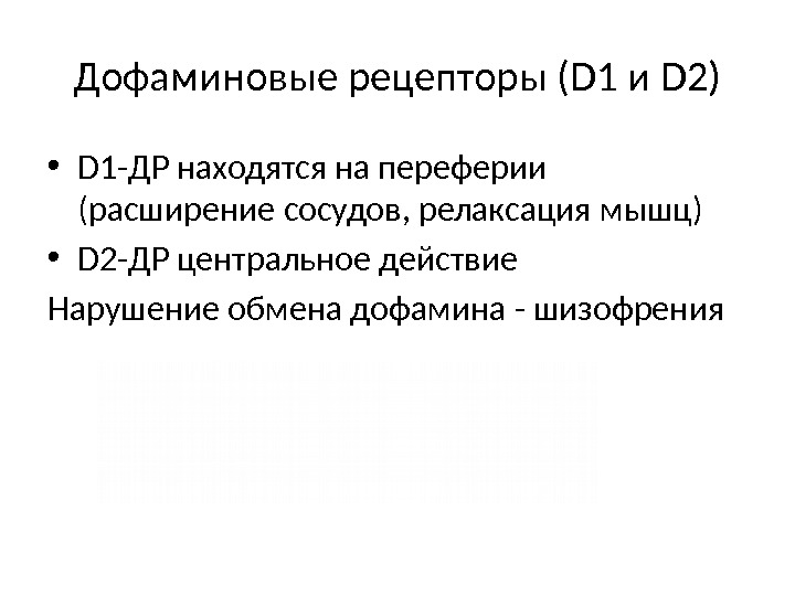 Дофаминовые рецепторы (D 1 и D 2) • D 1 -ДР находятся на переферии