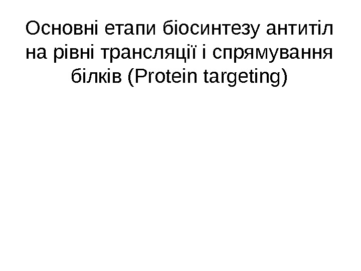 Основні етапи біосинтезу антитіл на рівні трансляції і спрямування білків ( Protein targeting )