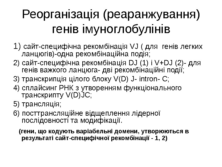 Реорганізація (реаранжування) генів імуноглобулінів 1) сайт-специфічна рекомбінація V J (  для  генів