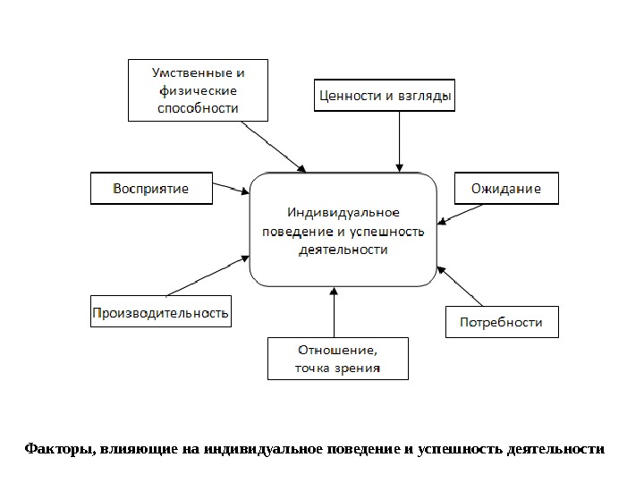 Факторы, влияющие на индивидуальное поведение и успешность деятельности 