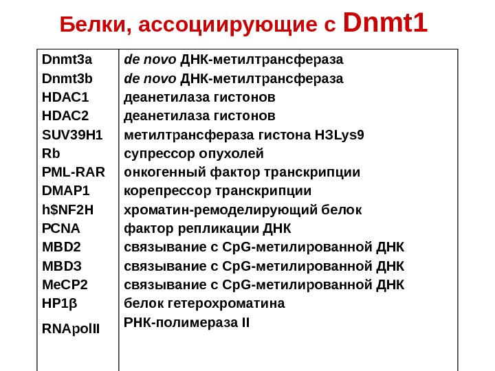   Белки, ассоциирующие с Dnmt 1  Dnmt 3 a  Dnmt 3