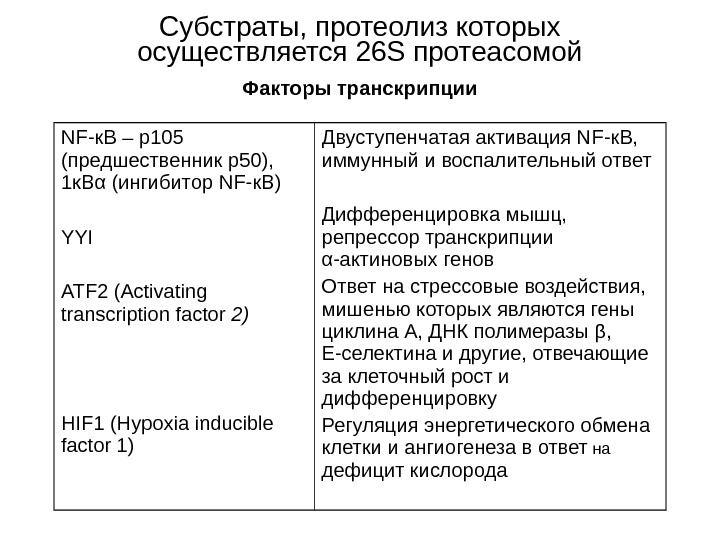   Субстраты, протеолиз которых осуществляется 26 S протеасомой  Факторы транскрипции  NF