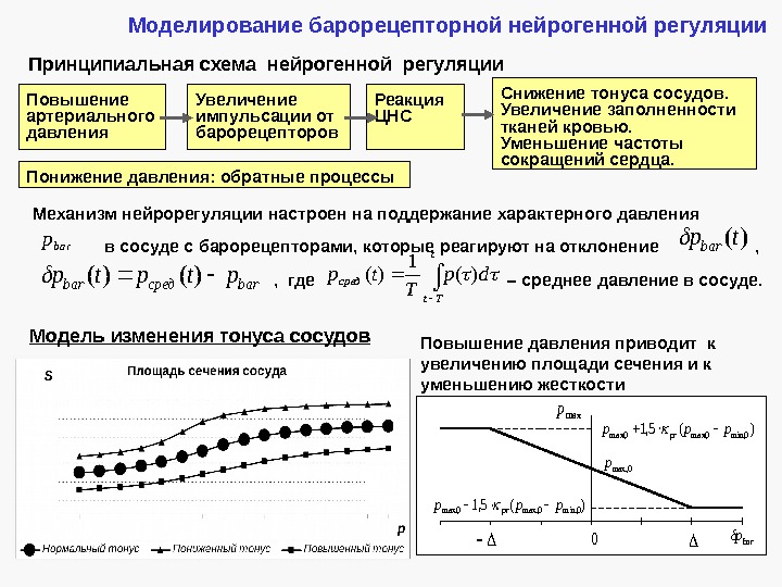 Повышение артериального давления Увеличение импульсации от барорецепторов Реакция ЦНС Снижение тонуса сосудов. Увеличение заполненности