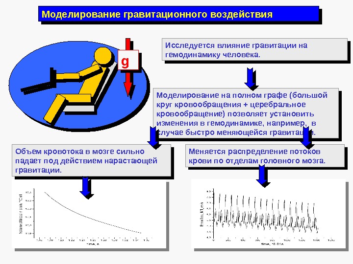 Моделирование гравитационного воздействия gg Исследуется влияние гравитации на гемодинамику человека. Моделирование на полном графе