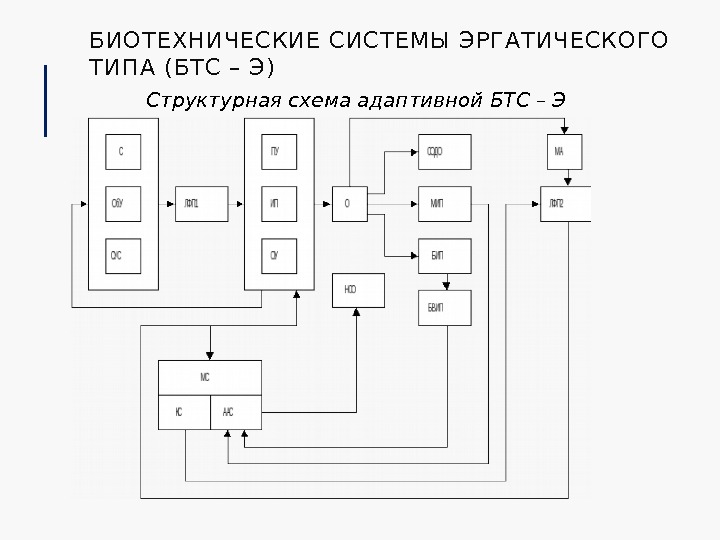 БИОТ ЕХНИЧЕСКИЕ СИСТЕМЫ ЭРГАТ ИЧЕСКОГО Т ИПА (БТ С – Э) Структурная схема адаптивной