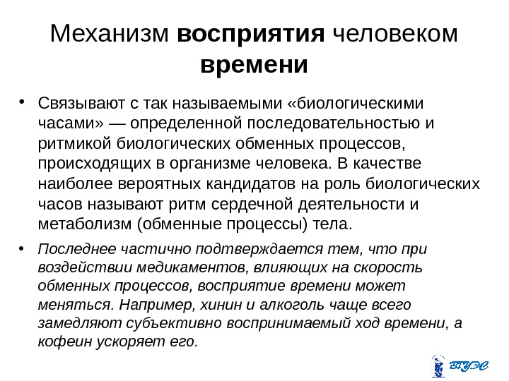 Механизм восприятия человеком времени • Связывают с так называемыми «биологическими часами» — определенной последовательностью