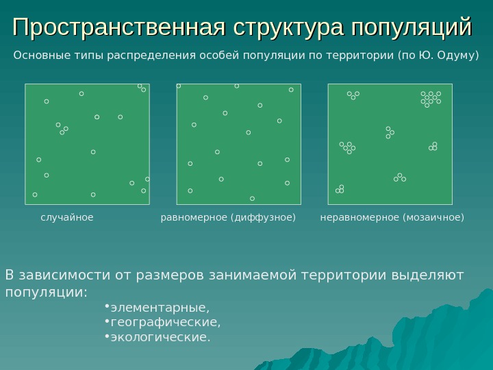 Пространственная структура популяций  Основные типы распределения особей популяции по территории (по Ю. Одуму)