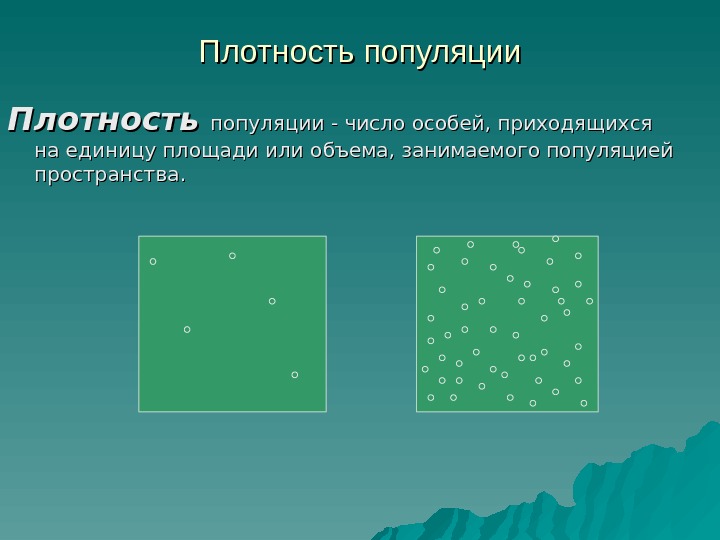 Плотность популяции Плотность  популяции - число особей, приходящихся на единицу площади или объема,