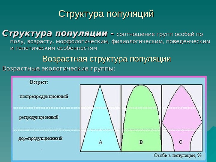 Структура популяций  Структура популяции -  соотношение групп особей по полу, возрасту, морфологическим,