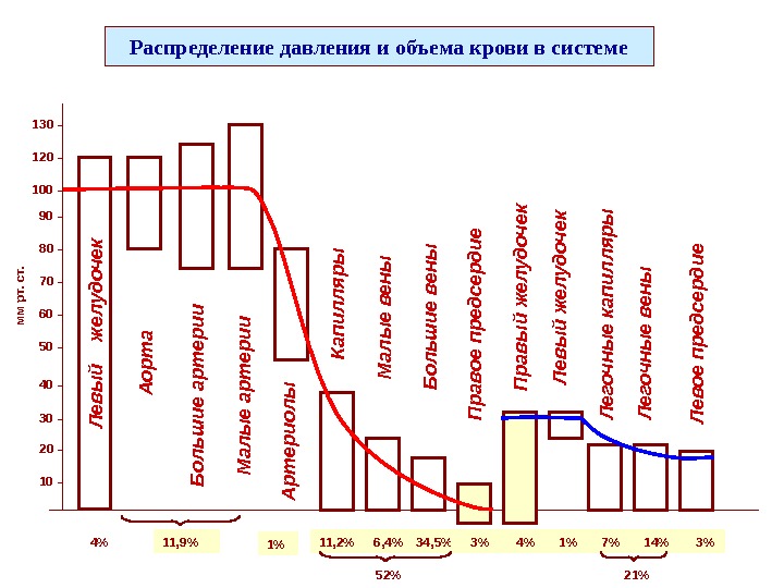 Распределение давления и объема крови в системе 50 - 30 - 10 -100 -